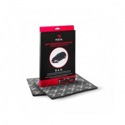 Focal BAM R