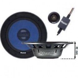 Difuzoare Magnat Profection 216